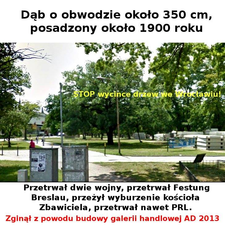 Wrocławianie oburzeni wycinką drzew przy dworcu PKS piszą do władz miasta, facebook.com/drzewa.wroclawia