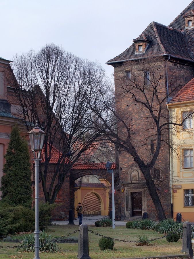 Odkrywamy Wrocław: najstarsze istniejące kościoły, wp