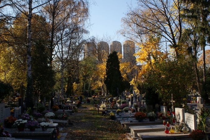 1 listopada zmieni się organizacja ruchu wokół wrocławskich cmentarzy