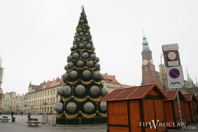W Rynku już czuć święta. Gigantyczna choinka stanęła w centrum miasta, Tomek Matejuk