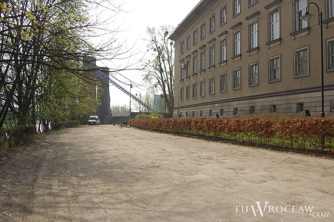 Wrocławianie i studenci ASP bronią wycinanych drzew na nadodrzańskich bulwarach, archiwum