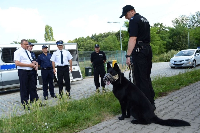 We Wrocławiu policyjne psy na wyścigi węszyły za narkotykami i bombami, mat. dolnośląskiej policji