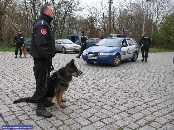 W akcji brał udział policyjny pies