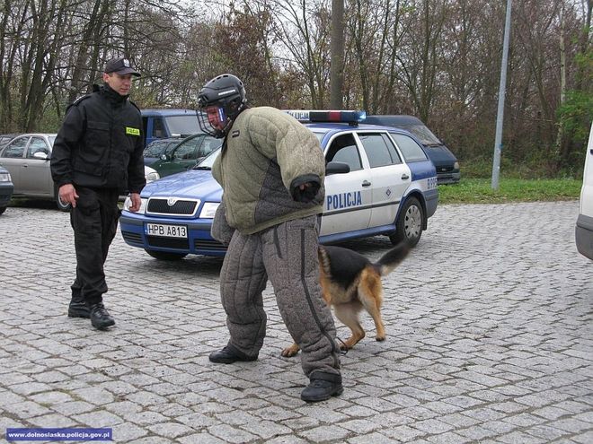 Policyjne psy są świetnie wyszkolone