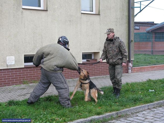 Policja uzmysławia, jak radzić sobie z agresywnymi psami i za co odpowiadają właściciele, mat. dolnośląskiej policji