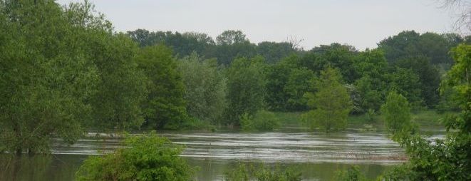Alarm przeciwpowodziowy na dwóch rzekach we Wrocławiu, archiwum